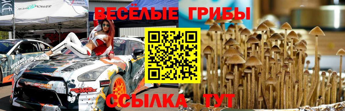 Галлюциногенные грибы прущие грибы Копейск