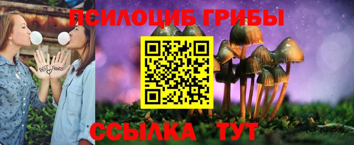 Галлюциногенные грибы Magic Shrooms  Вход с VPN  Копейск 